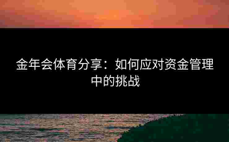 金年会体育分享：如何应对资金管理中的挑战